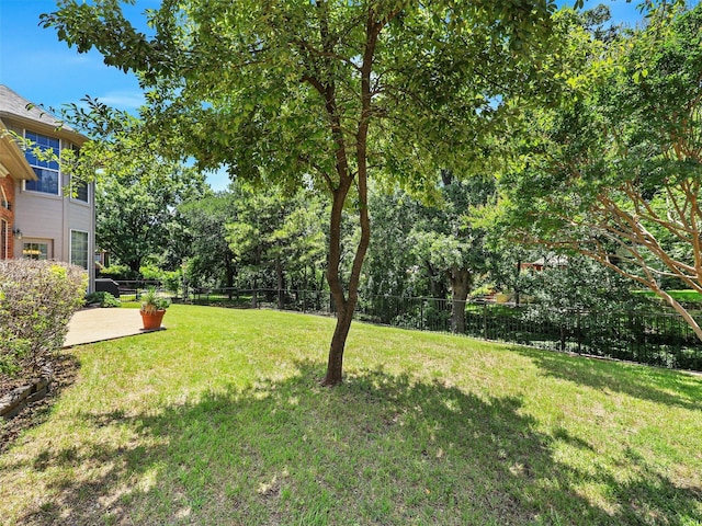 925 Canongate Dr, Flower Mound, TX 75022 - view of yard