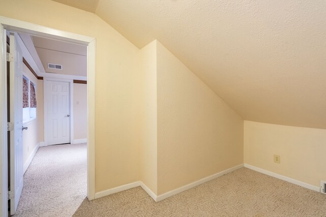 1450 Meandering Way, Rockwall, TX 75087 - additional living space with vaulted ceiling, light colored carpet, and a textured ceiling