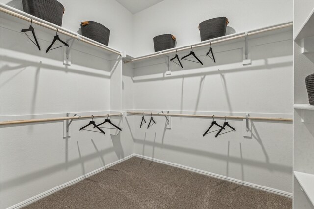 259 Bright Alcove Ct, Lavon, TX 75166 - walk in closet featuring carpet
