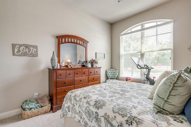 404 Bluffside Trl, Benbrook, TX 76126 - bedroom featuring multiple windows and carpet flooring