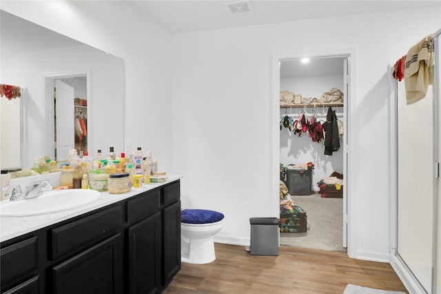 5305 Shady Springs Trl, Fort Worth, TX 76179 - bathroom featuring a spacious closet, vanity, and wood finished floors