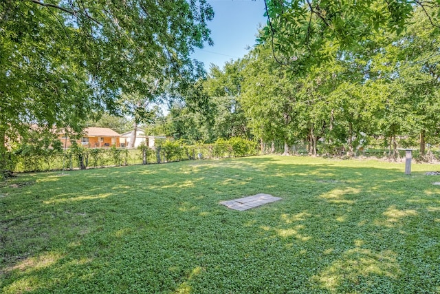 118 W Wanda Dr, Garland, TX 75040 - view of yard