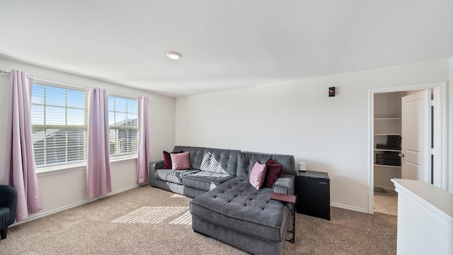 2026 Ocelot St, Crandall, TX 75114 - carpeted living room featuring baseboards