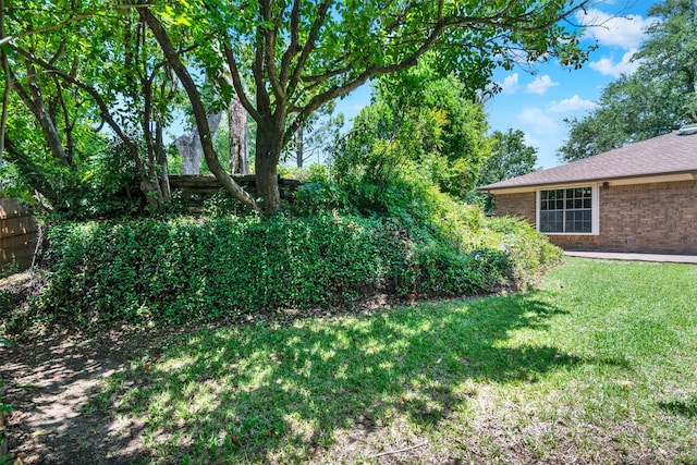 4005 Azalea Ln, Garland, TX 75043 - view of yard