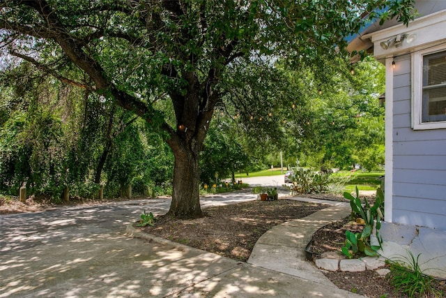 1211 Lansford Ave, Dallas, TX 75224 - view of yard