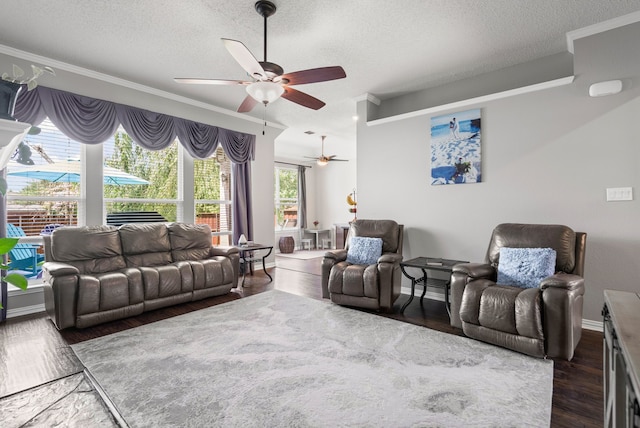 1617 Shadywood Ln, Flower Mound, TX 75028 - living room featuring a ceiling fan, a textured ceiling, ornamental molding, and dark wood-type flooring