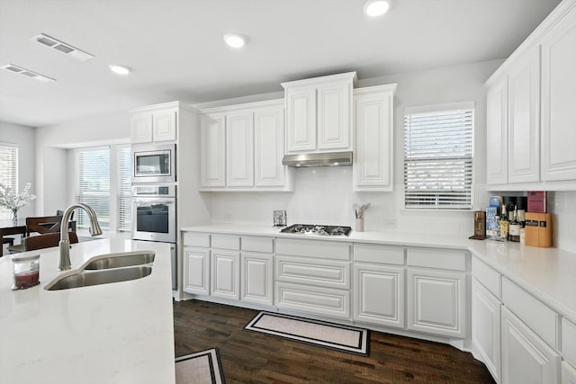4336 Westminster Ave, Celina, TX 76227 - kitchen with appliances with stainless steel finishes, decorative backsplash, light countertops, under cabinet range hood, and white cabinets