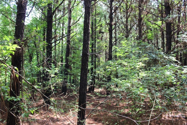 0 Moody Rd, Minden, LA 71055
