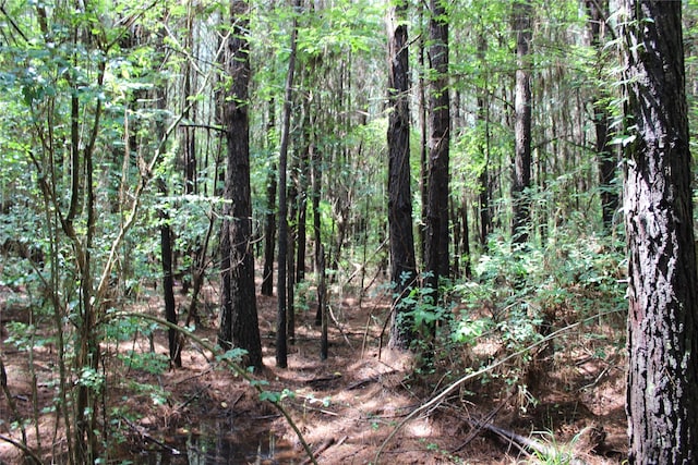 0 Moody Rd, Minden, LA 71055