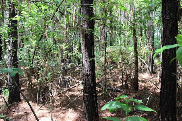 0 Moody Rd, Minden, LA 71055