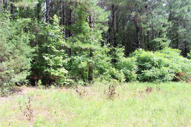 0 Moody Rd, Minden, LA 71055