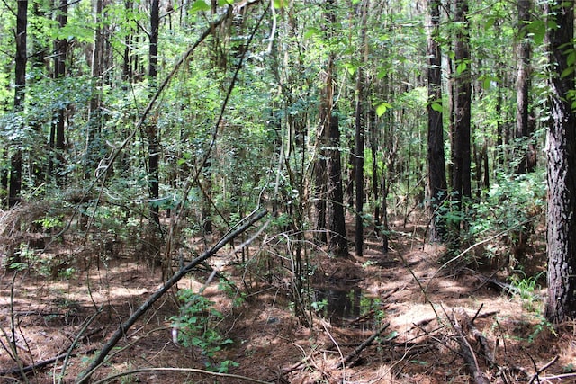0 Moody Rd, Minden, LA 71055