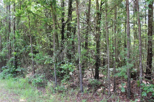 0 Moody Rd, Minden, LA 71055