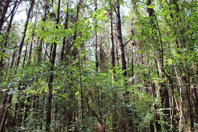 0 Moody Rd, Minden, LA 71055