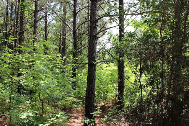 0 Moody Rd, Minden, LA 71055