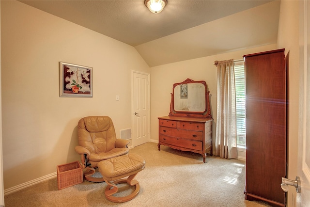 1813 Ranch Rd, Royse City, TX 75189 - living area with carpet, lofted ceiling, and plenty of natural light