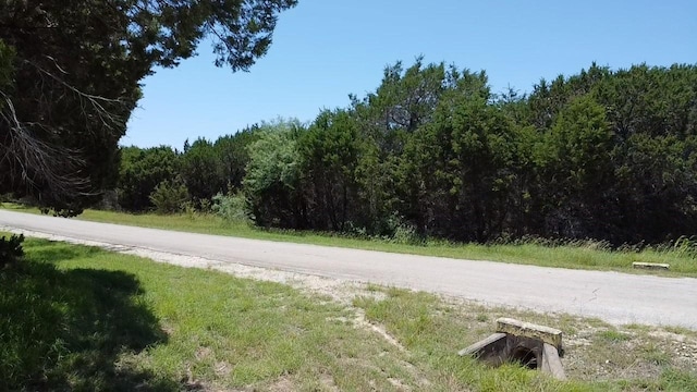 29033 Cedarcrest Dr, Whitney, TX 76692