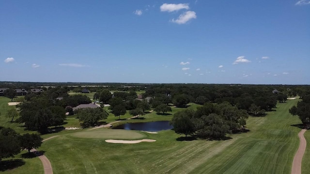 29033 Cedarcrest Dr, Whitney, TX 76692