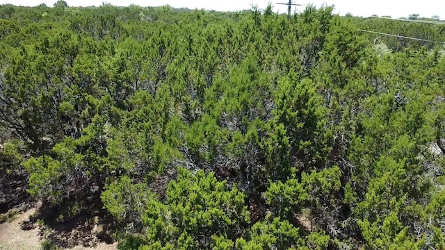 29033 Cedarcrest Dr, Whitney, TX 76692