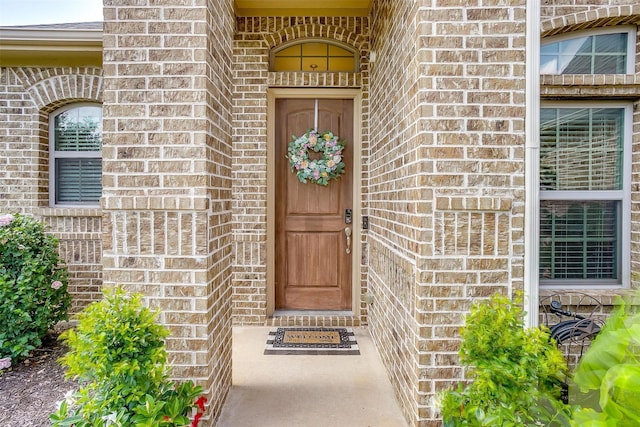 1148 Blue Sky Ln, Burleson, TX 76058 - property entrance with brick siding