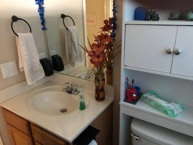 2542 Dove Crossing Dr, New Braunfels, TX 78130 - bathroom featuring vanity and toilet