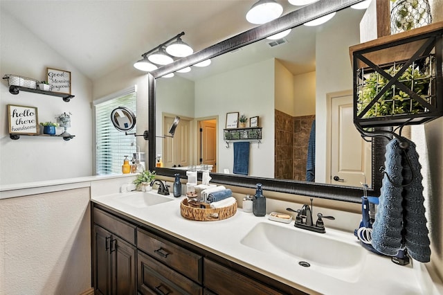 6513 Deer Horn Dr, Fort Worth, TX 76179 - bathroom featuring double vanity, vaulted ceiling, and a shower
