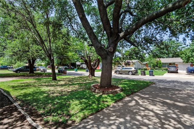 3137 Tex Blvd, Fort Worth, TX 76116 - view of grassy yard