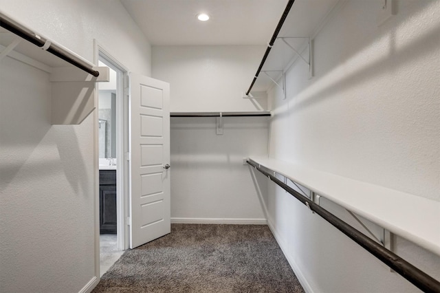 601 Redding Dr, Saginaw, TX 76131 - walk in closet featuring carpet flooring
