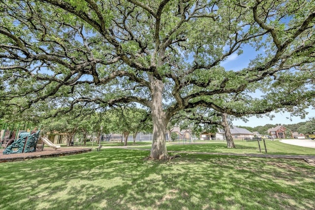 700 Paradise Cv, Shady Shores, TX 76208 - view of grassy yard
