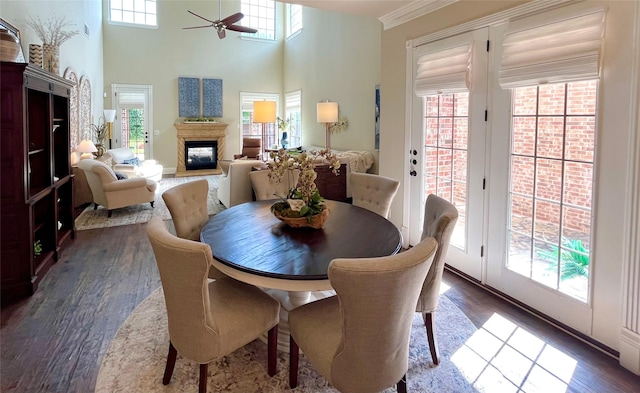 4716 Eva Pl, Plano, TX 75093 - dining area with dark wood-style flooring, a ceiling fan, a glass covered fireplace, and a high ceiling