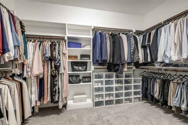 1301 Wilderness Ln, Forney, TX 75126 - walk in closet featuring carpet floors