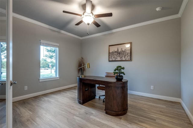 1301 Wilderness Ln, Forney, TX 75126 - office area featuring a ceiling fan, light wood-style floors, and ornamental molding