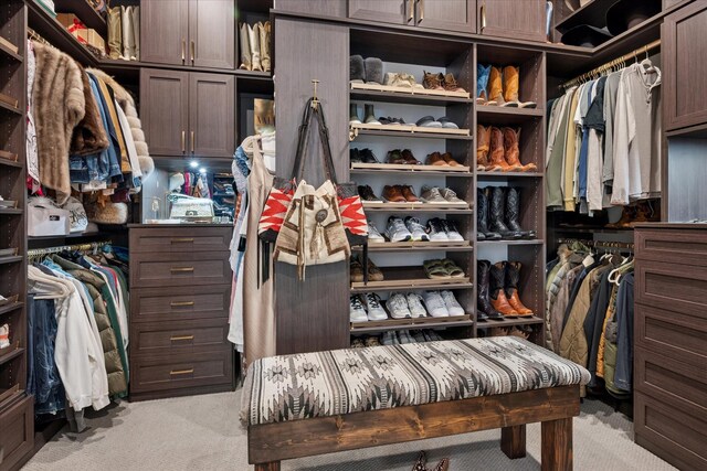 15111 Spider Lily Rd, Frisco, TX 75035 - walk in closet featuring light carpet