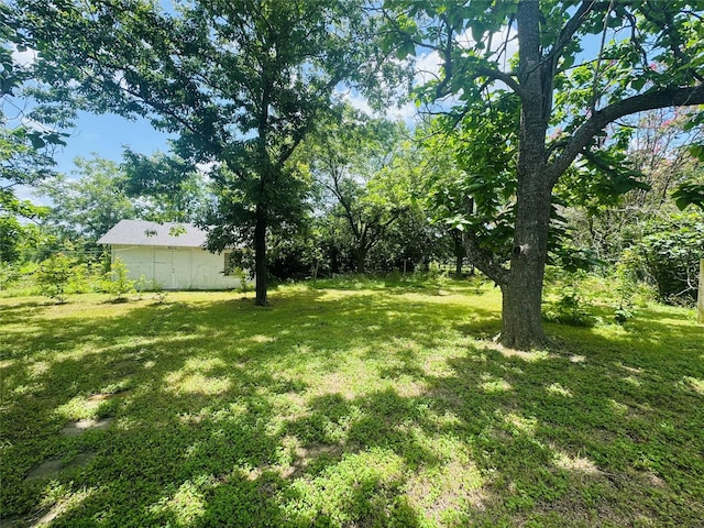311 E Newland Dr, Robinson, TX 76706 - view of green lawn