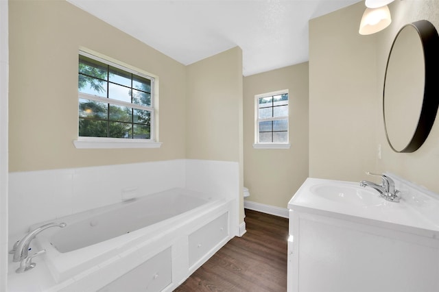 1724 Lincolnshire Way, Fort Worth, TX 76134 - full bathroom featuring plenty of natural light, wood finished floors, a garden tub, and vanity