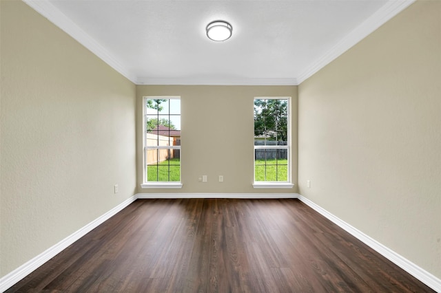1724 Lincolnshire Way, Fort Worth, TX 76134 - spare room with dark wood-style flooring and ornamental molding