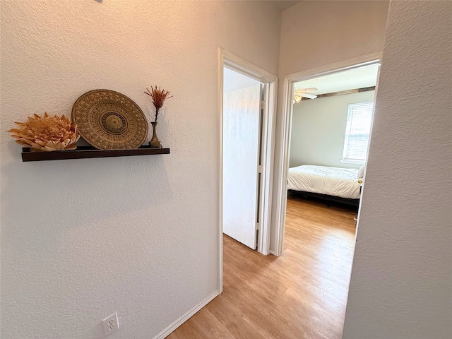 3541 Cripple Creek Trl, Fort Worth, TX 76262 - hallway with wood finished floors and a textured wall