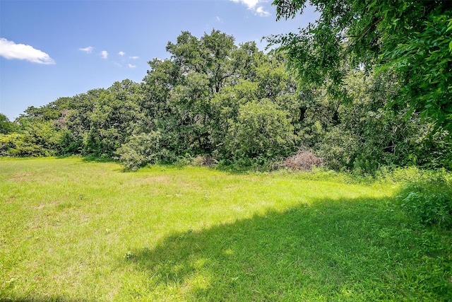 302 S Fox Ln, Burleson, TX 76028 - view of yard featuring a view of trees