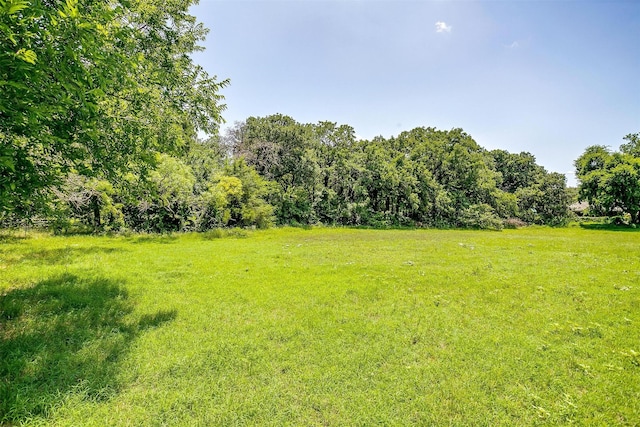 302 S Fox Ln, Burleson, TX 76028 - view of green lawn