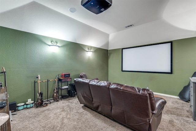 11398 Pear Ridge Dr, Frisco, TX 75035 - cinema with carpet floors and vaulted ceiling