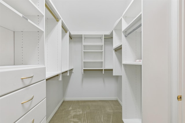 4069 White Porch Rd, Plano, TX 75024 - walk in closet featuring carpet