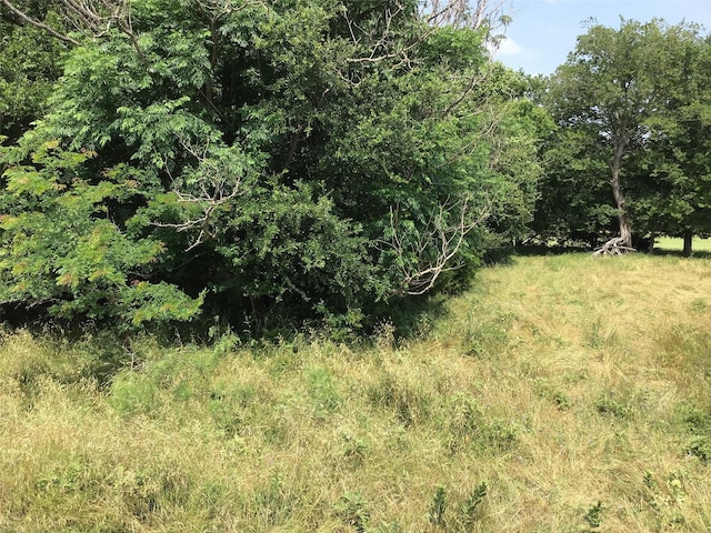 42086 Crooked Stick Dr, Whitney, TX 76692