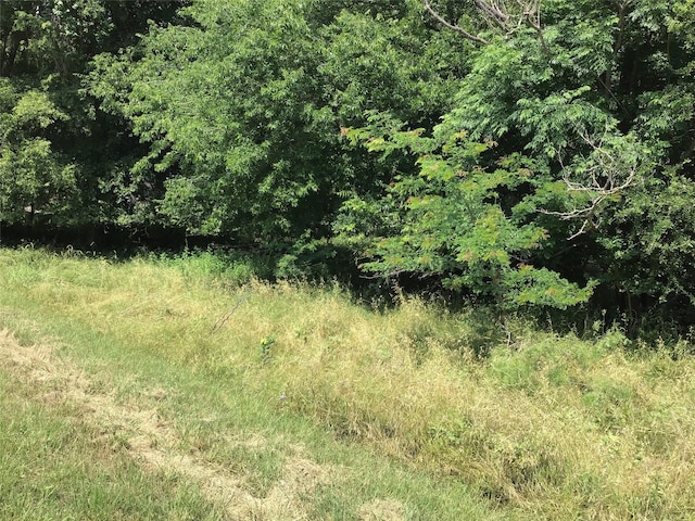 42086 Crooked Stick Dr, Whitney, TX 76692