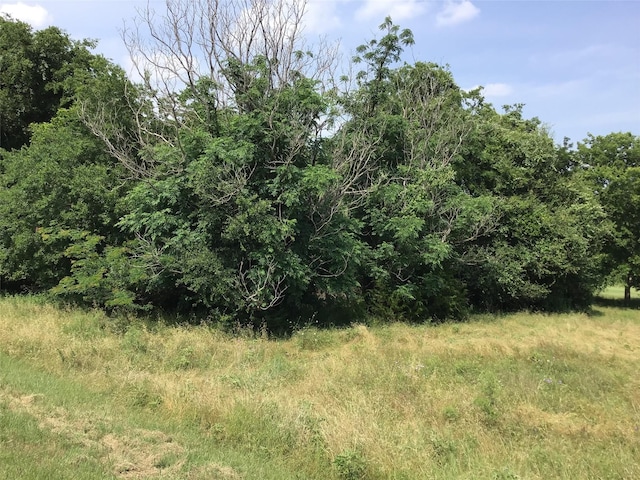 42086 Crooked Stick Dr, Whitney, TX 76692