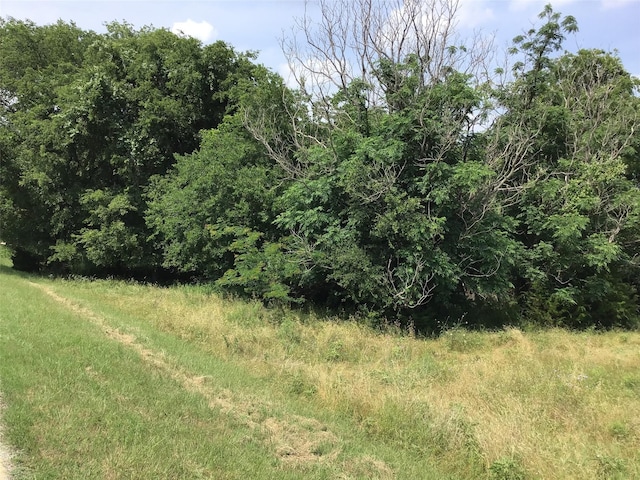 42086 Crooked Stick Dr, Whitney, TX 76692