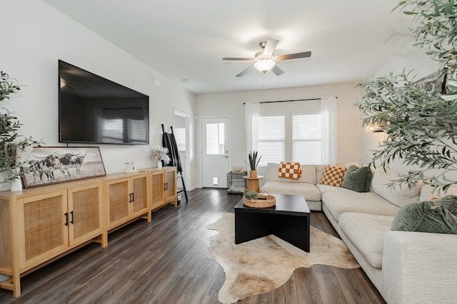 1447 Rolling Fox Dr, Forney, TX 75126 - living room featuring healthy amount of natural light, ceiling fan, and dark wood-style floors