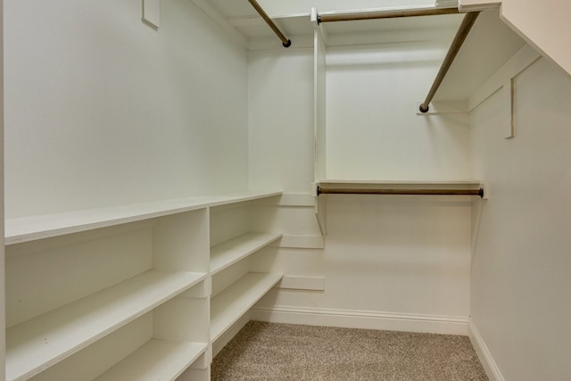 924 Via Barcelona, Mesquite, TX 75150 - walk in closet featuring carpet