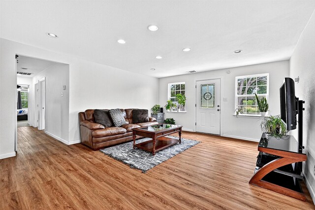 231 Juniper Dr, Pottsboro, TX 75076 - living area featuring light wood-type flooring and recessed lighting