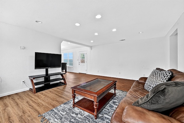 231 Juniper Dr, Pottsboro, TX 75076 - living room featuring wood finished floors and recessed lighting