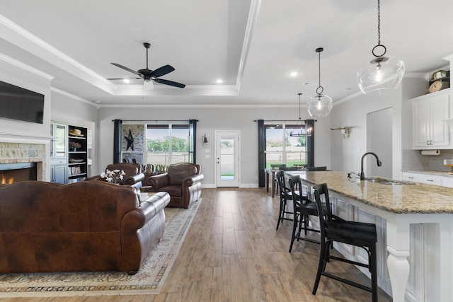 301 Aviara Ct, Poolville, TX 76487 - living area with light wood-style flooring, healthy amount of natural light, a ceiling fan, recessed lighting, and a raised ceiling